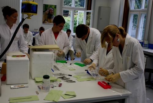 Aufarbeitung der Schilfproben; LOLA-Summerschool 2010